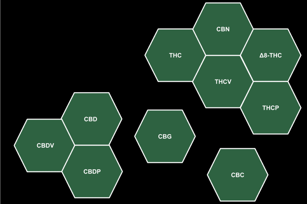 Cannabinoids Explained: Cannabis 101